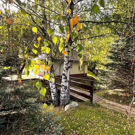 Domki Nad Strumykiem Mirsk Exterior photo