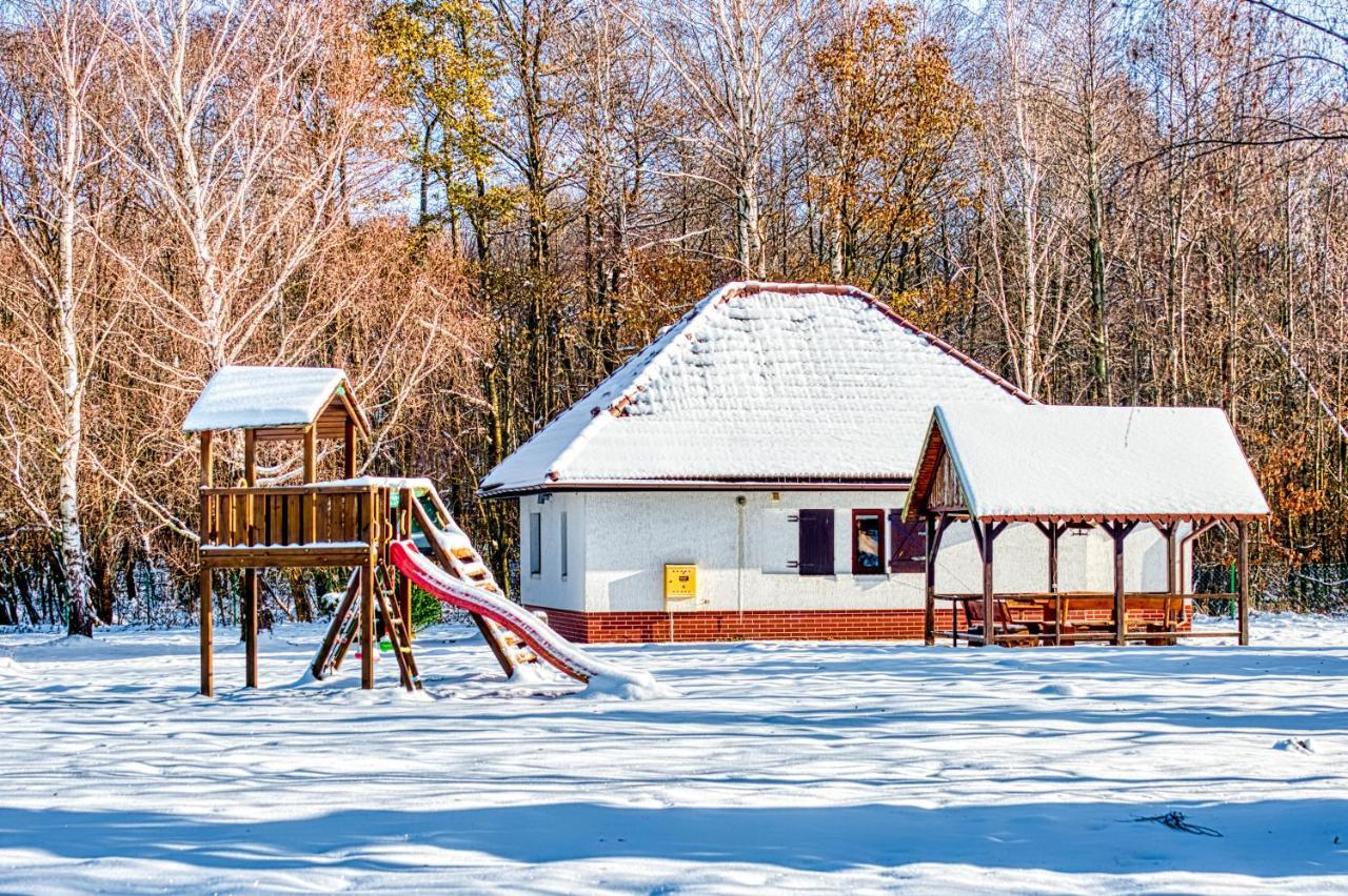 Nad Strumykiem Holiday home Mirsk